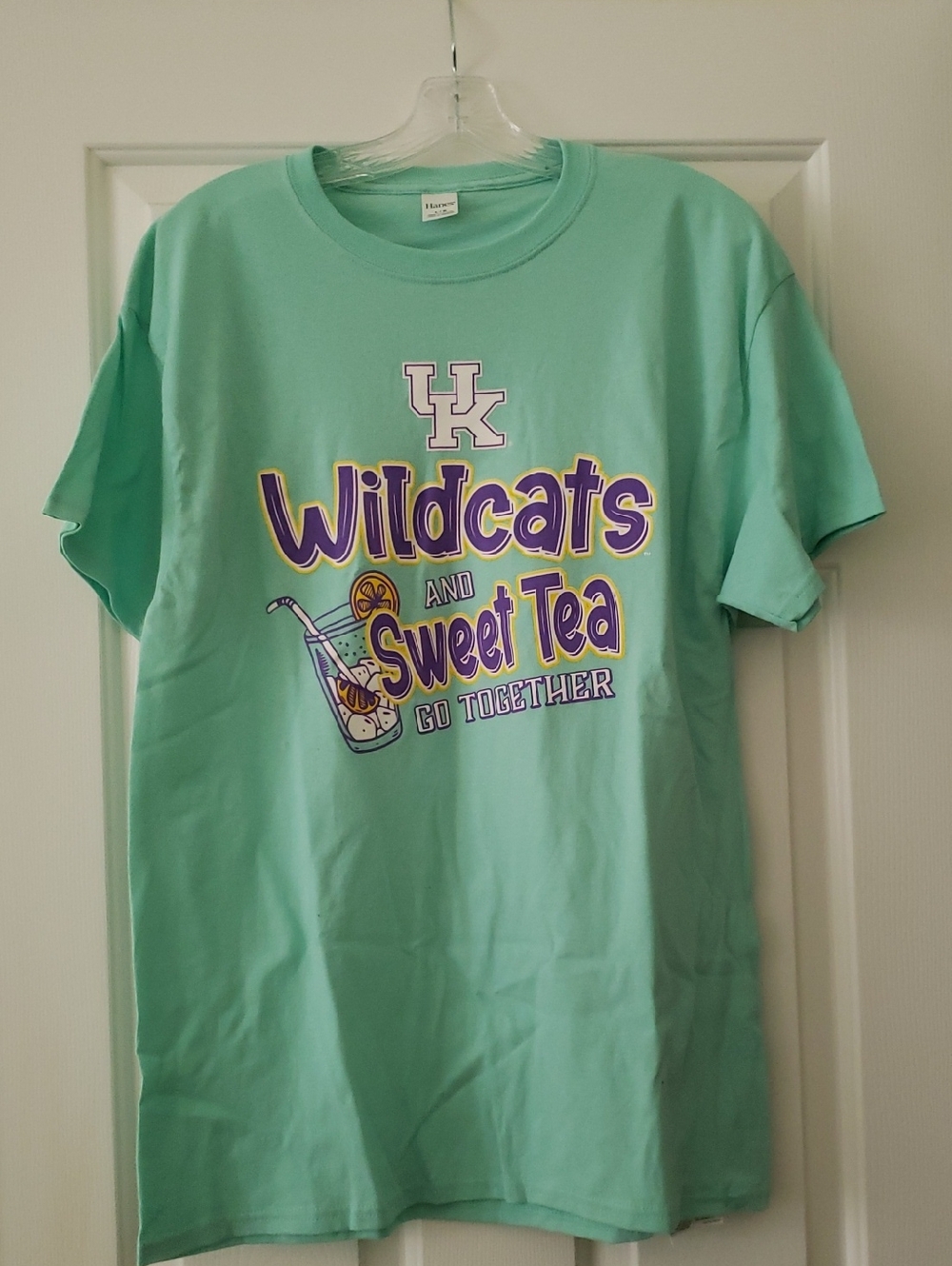 Hanes Mint Green Crewneck T-Shirt